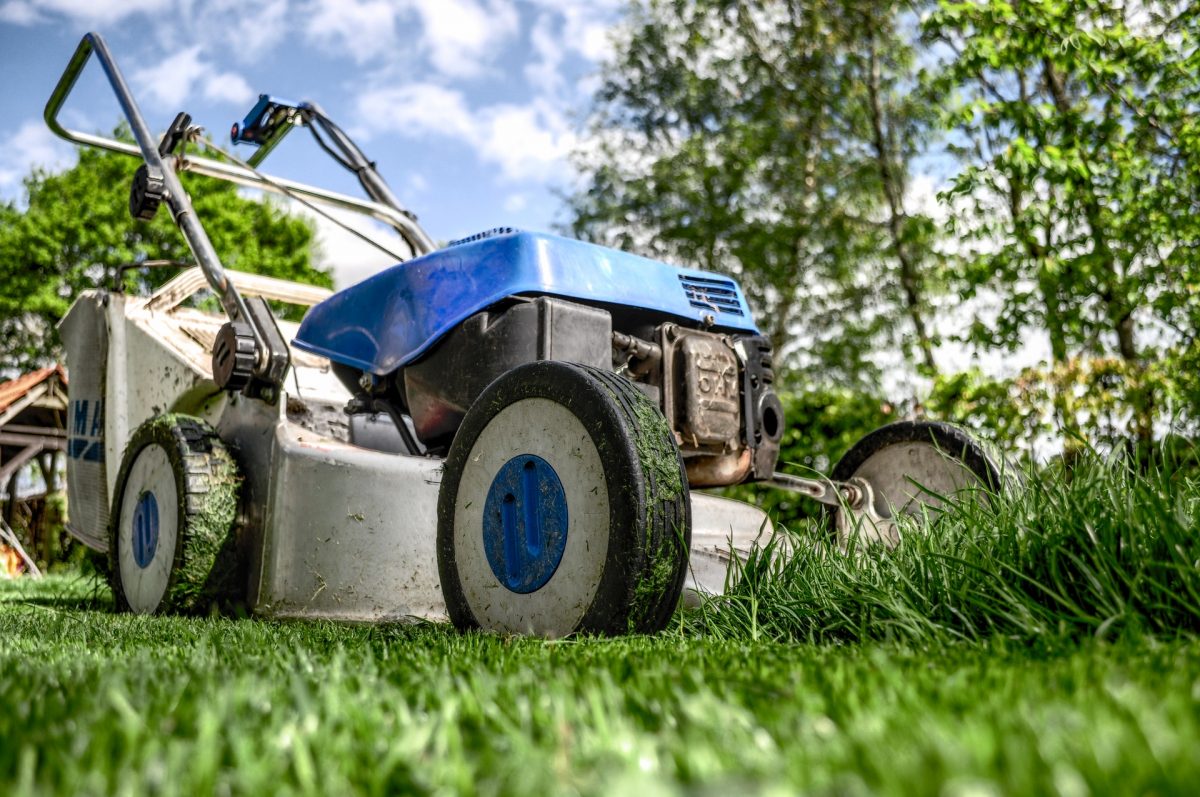 Reformas: ¿Cómo hacer un jardín en casa?